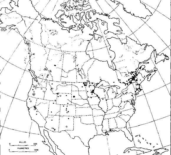 Formica fusca range map 1973