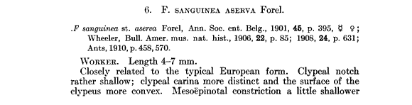 the original species description for Formica aserva (third page)