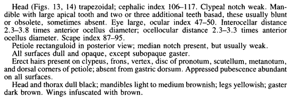 the original species description for Formica gynocrates (third page)