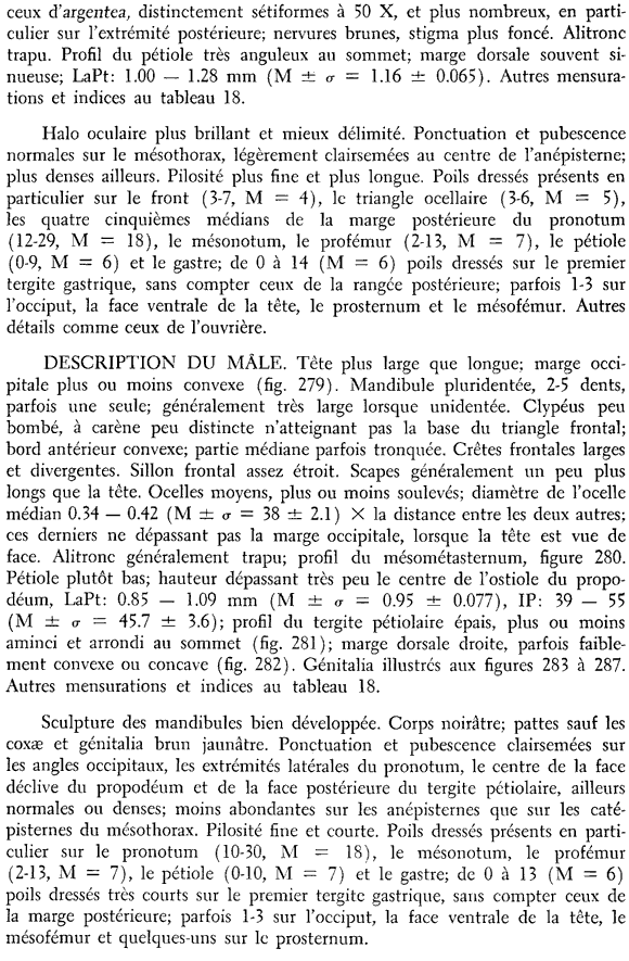 the original species description for Formica podzolica (third page)