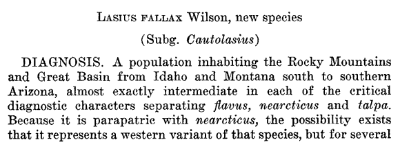 the original species description for Lasius fallax (first page)