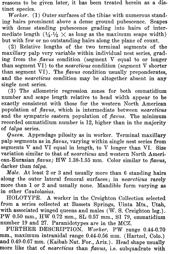 the original species description for Lasius fallax (second page)