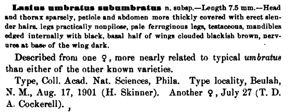 the original species description for Lasius subumbratus (first page)
