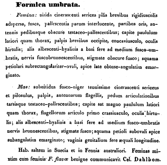 the original species description for Lasius umbratus (first page)