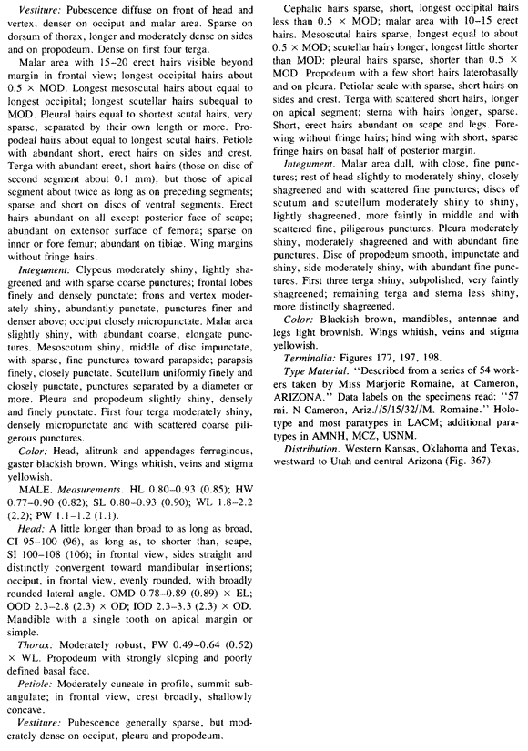 original description for Myrmecocystus romainei (fourth page)