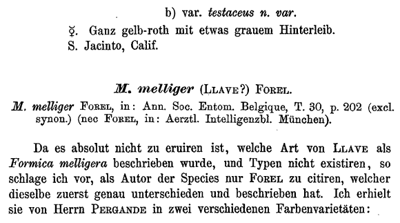 the original species description for Myrmecocystus testaceus (first page)