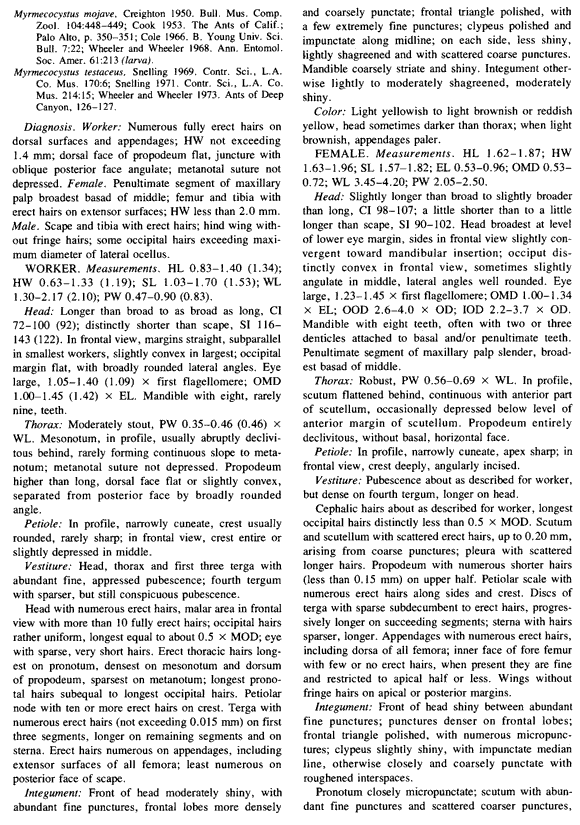 Myrmecocystus testaceus description (third page)