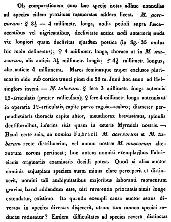 original description for Leptothorax muscorum (fourth page)