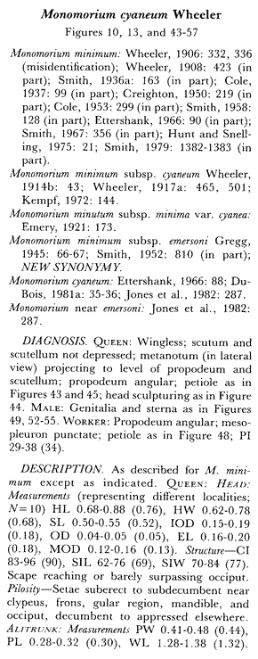 original description for Monomorium cyaneum (fourth page)