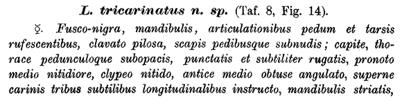 the original species description for Temnothorax tricarinatus (first page)